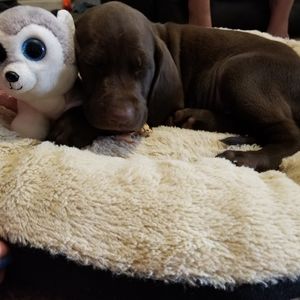 Meet your Posher, Stacy